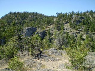 Looking west across the canyon from the peak, Pincushion Mtn 2011-08.